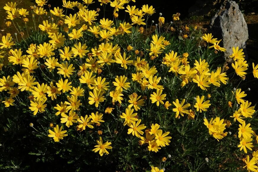 Konstantinos Livadas/Shutterstock.com