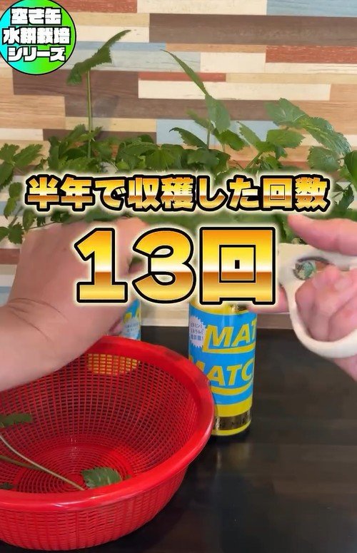 出所：@mikanbo_ya19_87