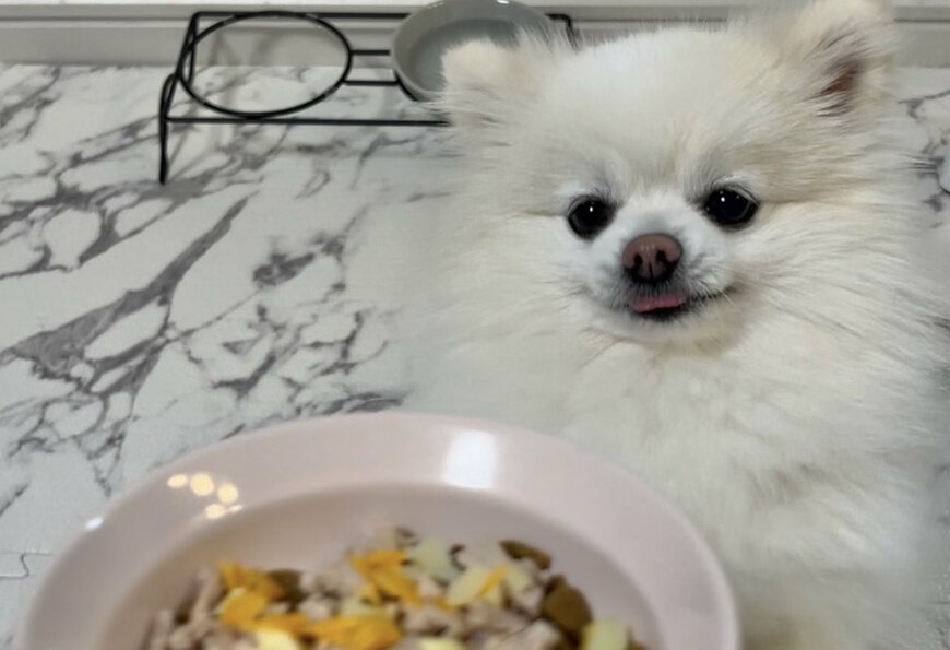 出所：@boku_ponchan