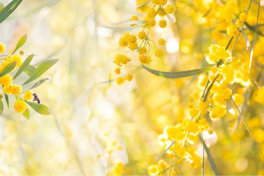 花束を贈るのはいつ？〈イタリアに学ぶ〉花を贈る3つのタイミングで、心に残る思い出づくり