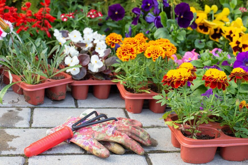 Valeriya Babieva/shutterstock.com