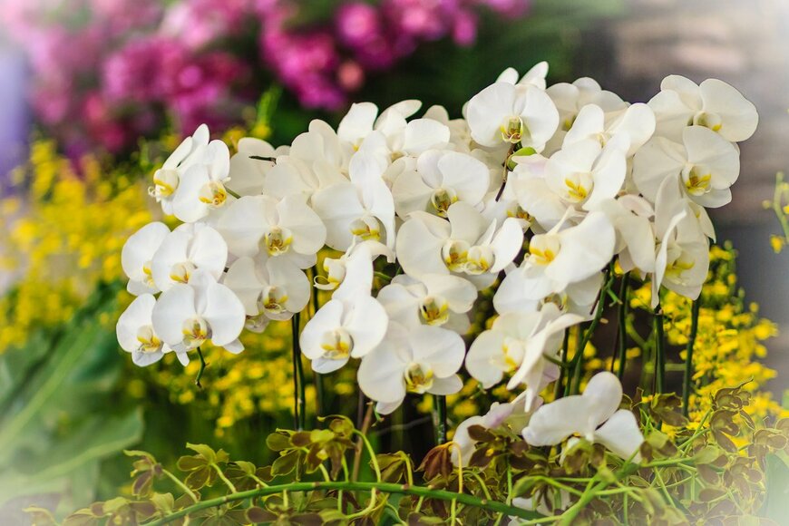 Christopher PB/shutterstock.com