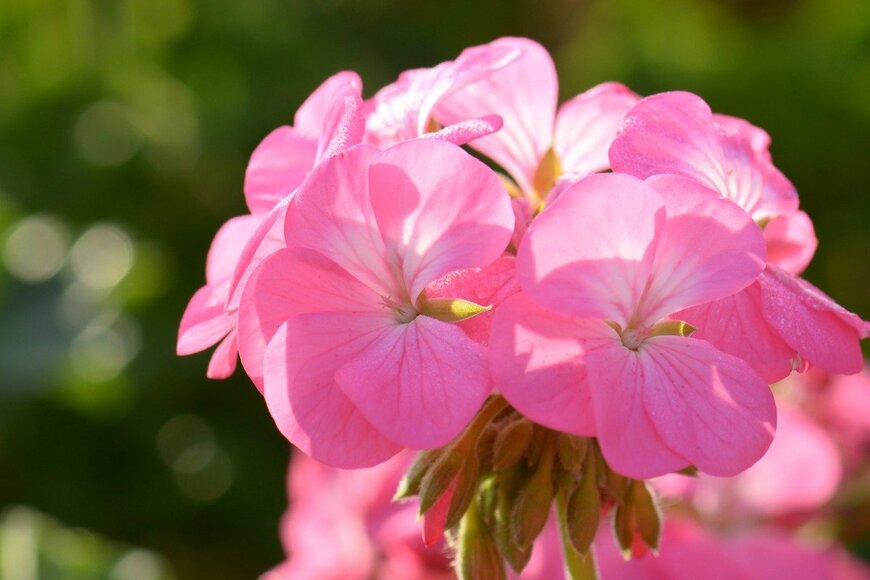 kuarmungadd/istockphoto.com