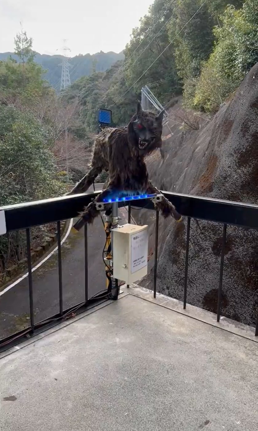 出所：@nelonelosango