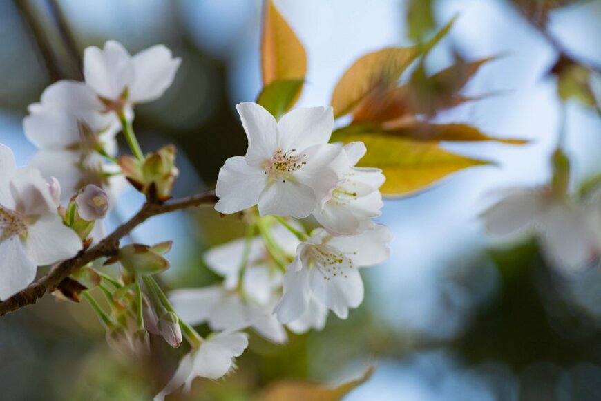 traction/shutterstock.com