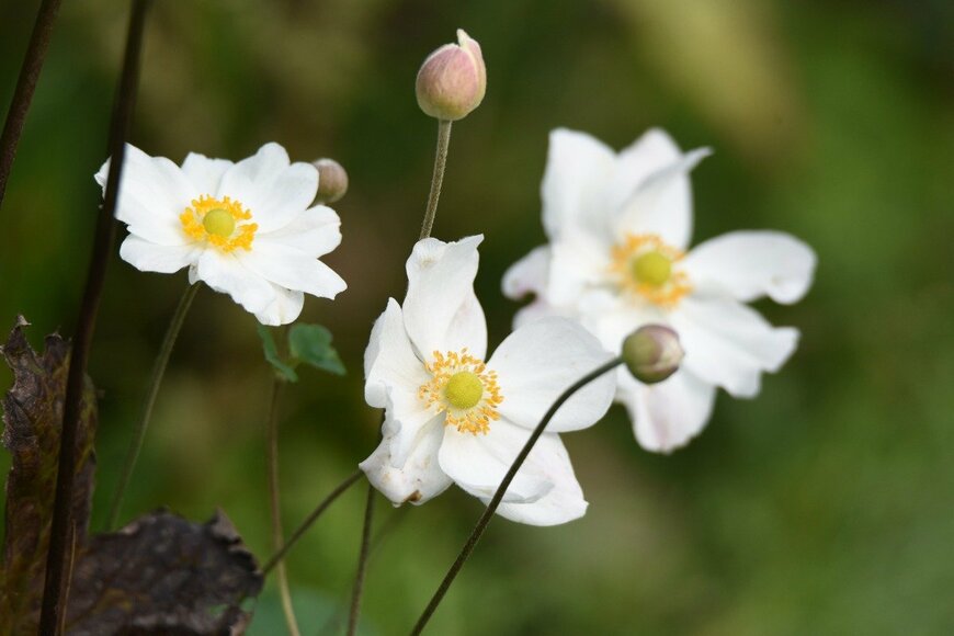 undefined undefined/istockphoto.com