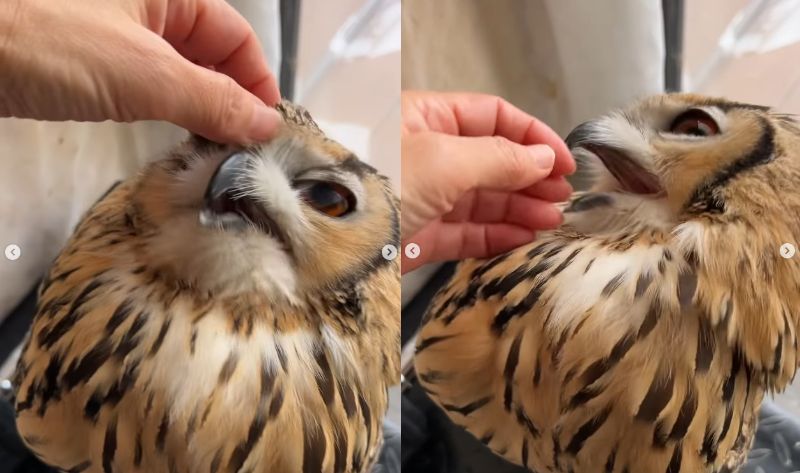 出所：@ba_chantolatte