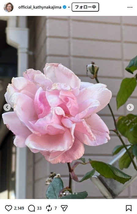 出所：キャシー中島のInstagram（＠official_kathynakajima）　参照日：2026年2月3日