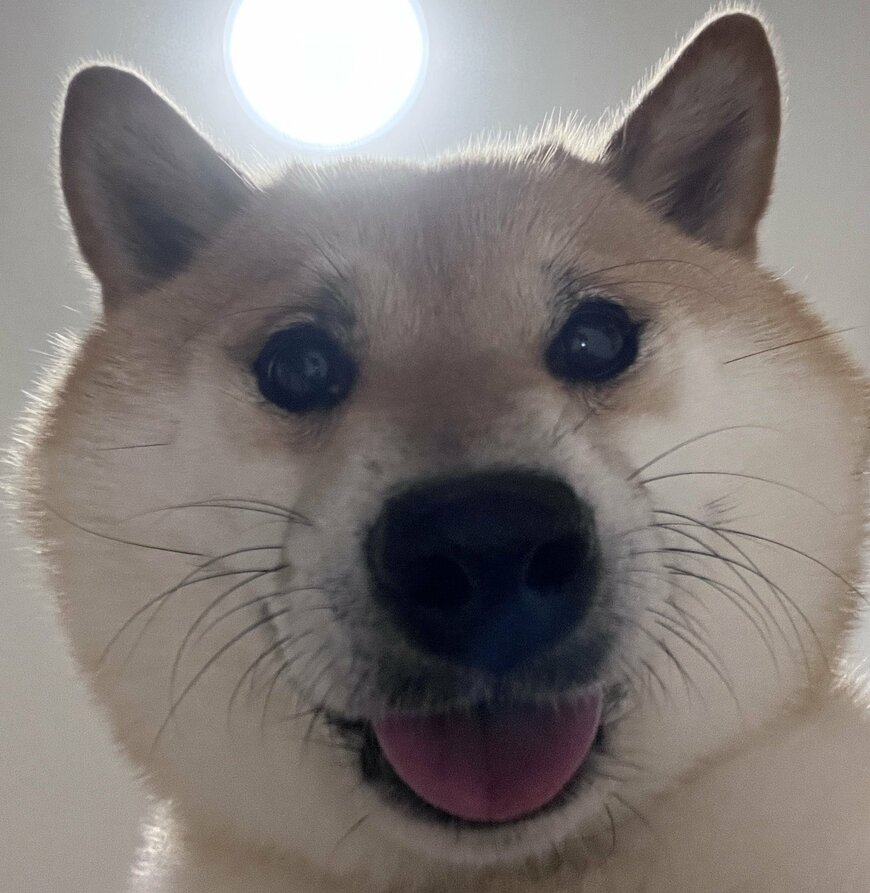 出所：@fufufufufu_ta