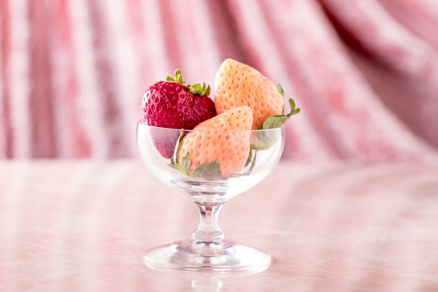 画像出所：ヒルトン東京お台場