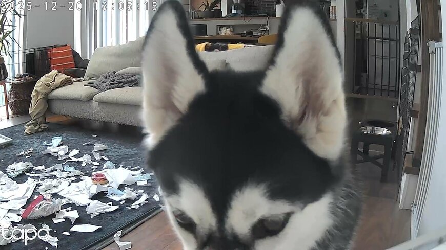 出所：@ett_er_bro