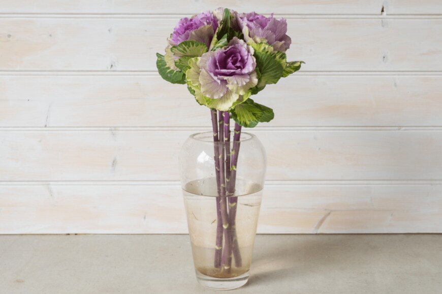 Natalie Board/shutterstock.com