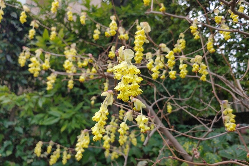 Sungsu Shin/istockphoto.com