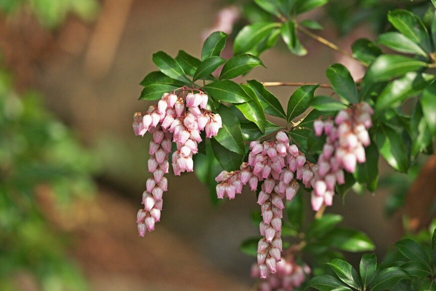 igaguri_1/istockphoto.com