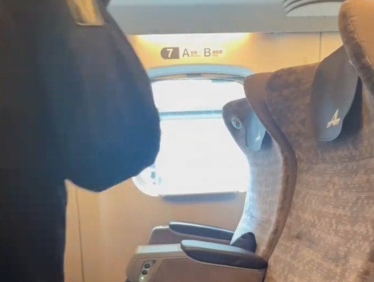 元CAが新幹線に乗る時に思うことは？　「つい出てしまう習慣」に共感のコメントが続出