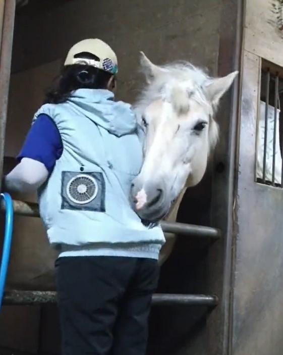 出所：@HorseSpace2