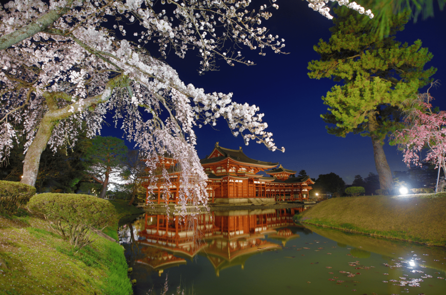 【京都旅行】観光名所や寺院が花で彩られる！「花咲く京都」新たな4つのイベントとは？