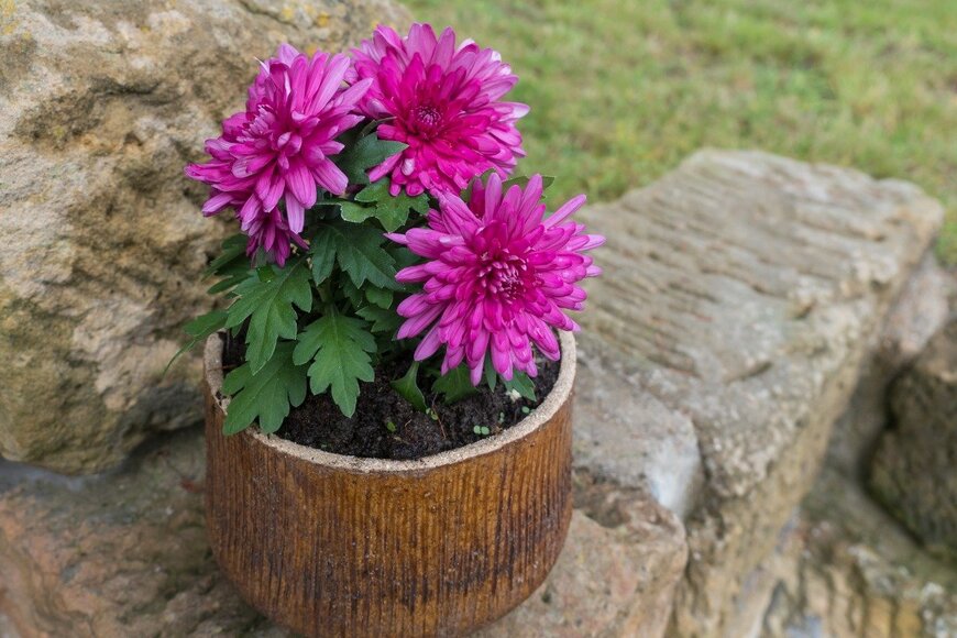 Kristyna Sindelkova/istockphoto.com