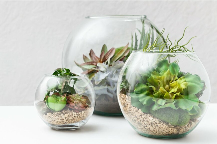 【ガーデニング】テラリウムの＜作り方・おすすめ植物5選＞暖かい部屋の中で楽しむ小さなお庭