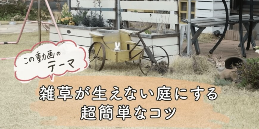 雑草が生えない庭にする超簡単なコツ　画像