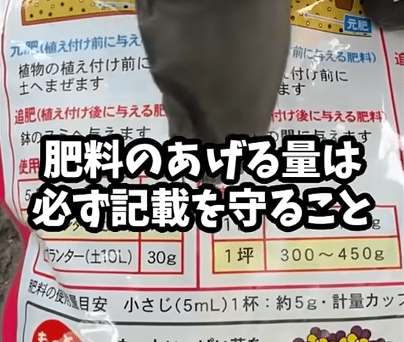 肥料をあげる量は必ず記載を守る