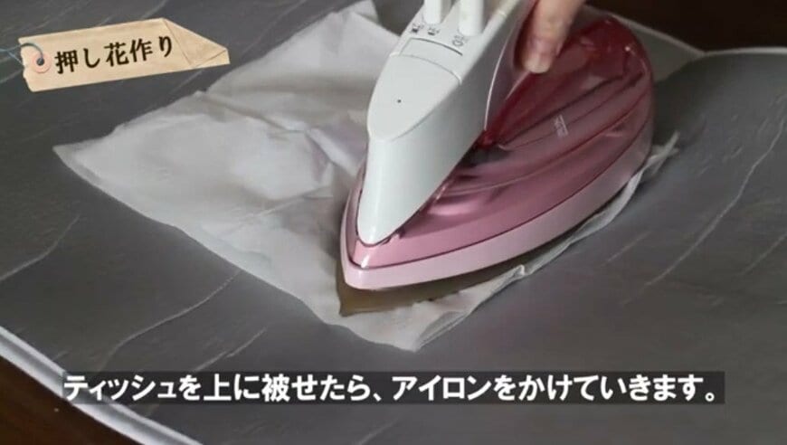 @チェリーガーデン