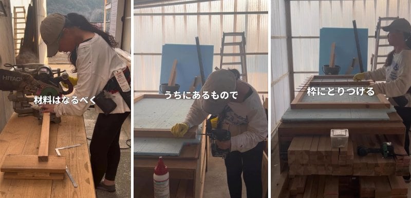 投稿の画像