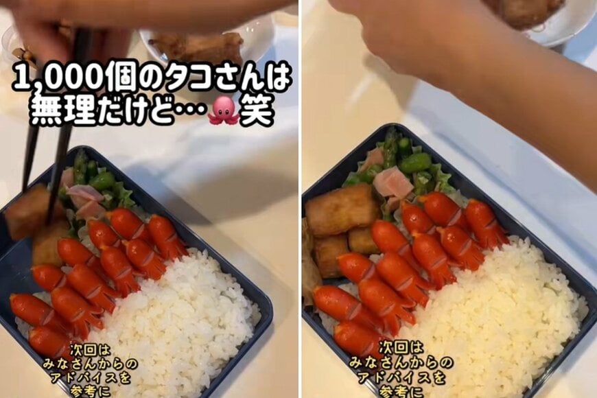 投稿動画のワンシーン