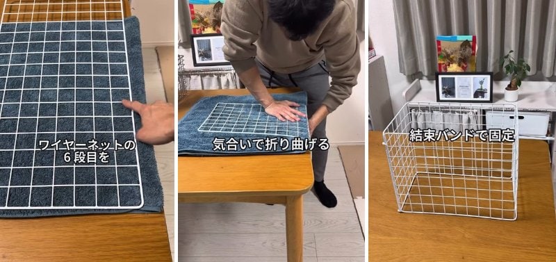 投稿の画像
