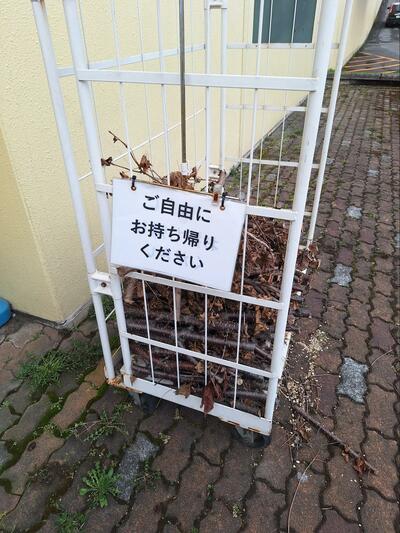 「ご自由にお持ち帰りください」と書かれた張り紙