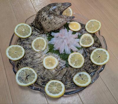 綺麗に盛り付けられたウツボ