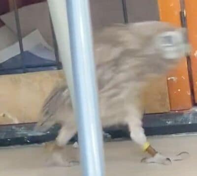 投稿動画のワンシーン