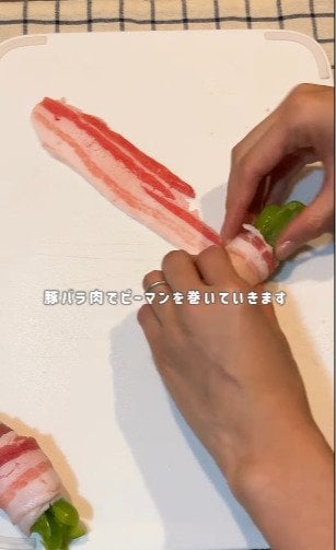 投稿動画のワンシーン
