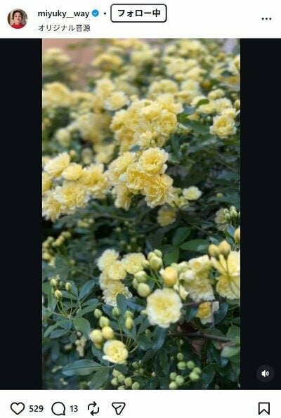 香坂みゆきのInstagram投稿