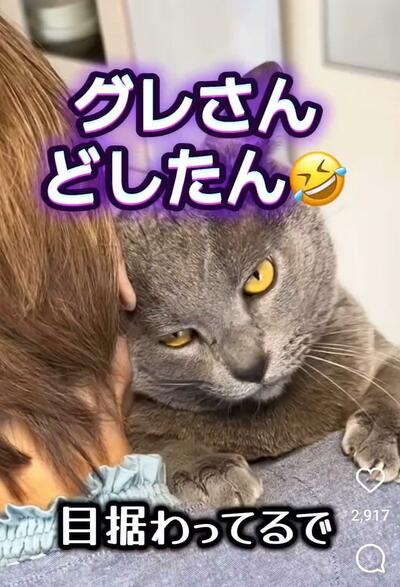 投稿動画のワンシーン