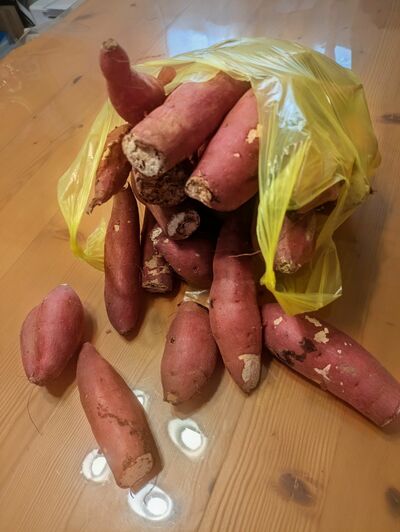 袋いっぱいのサツマイモ