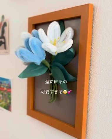 投稿の画像
