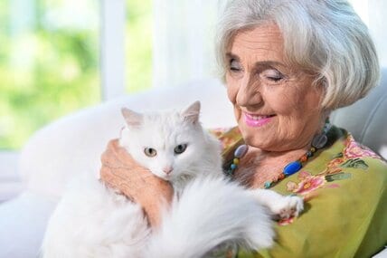 【75歳からの医療費】窓口負担割合が2割になる人「年金収入＋その他の合計所得」はいくら？《シニア世帯》平均所得額はどれくらい？