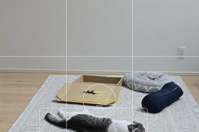 「のびーん」とした状態でリラックス中の猫を撮影すると…スマホカメラの予期せぬ反応に驚愕！