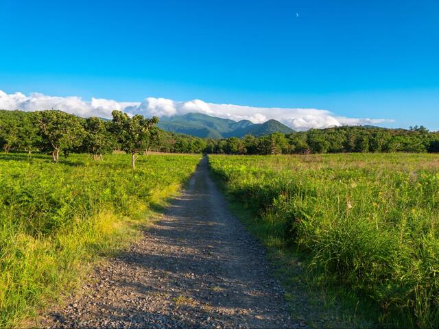 北海道・釧路近郊で拾った「動物のモノ」に注目集まる　想定外の需要に驚いてしまう