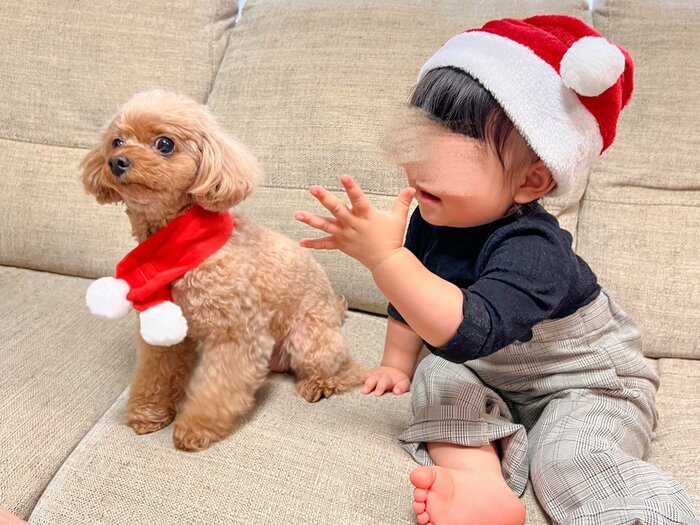 子どもにはサンタの帽子を被ってもらい、少し早めのクリスマス仮装を！