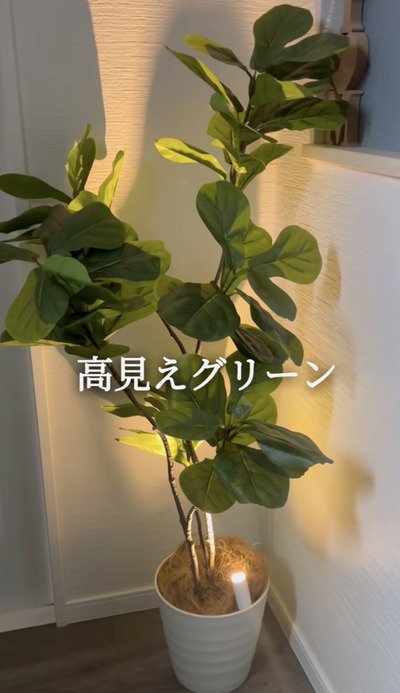 出所：＠miwa_100diy