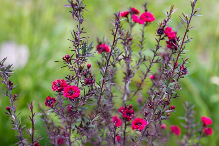 Close to Me Photography/Shutterstock.com