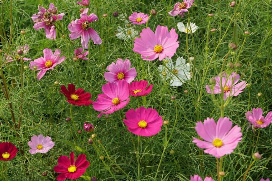 Kittinit Yassara/istockphoto.com