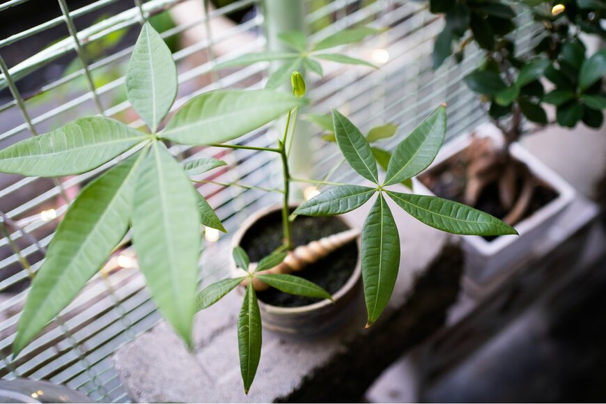 mokjc/Shutterstock.com