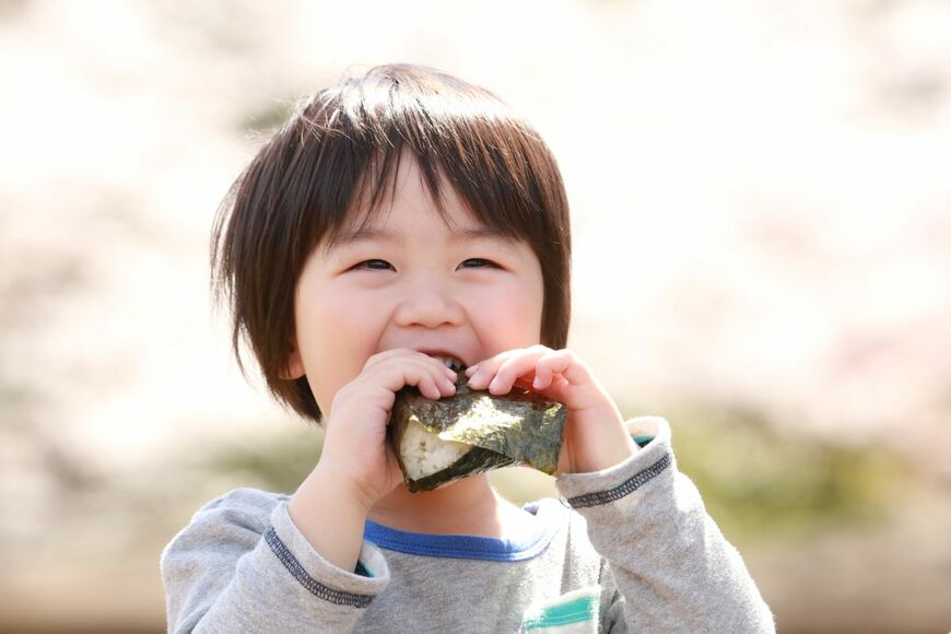 yamasan0708/shutterstock.com