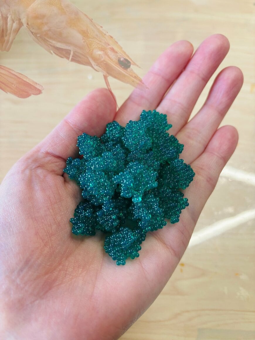 出所：@kanapei_fflab