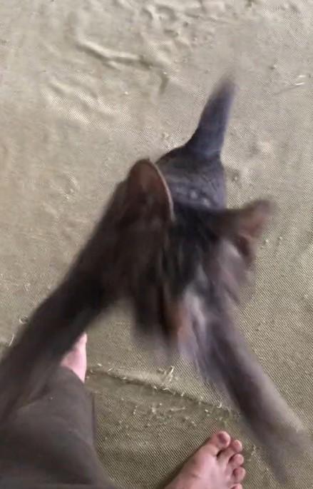 出所：@00shitemita