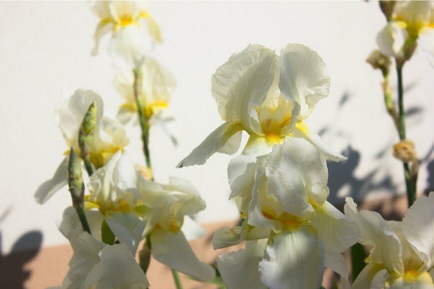 Sokor Space/Shutterstock.com