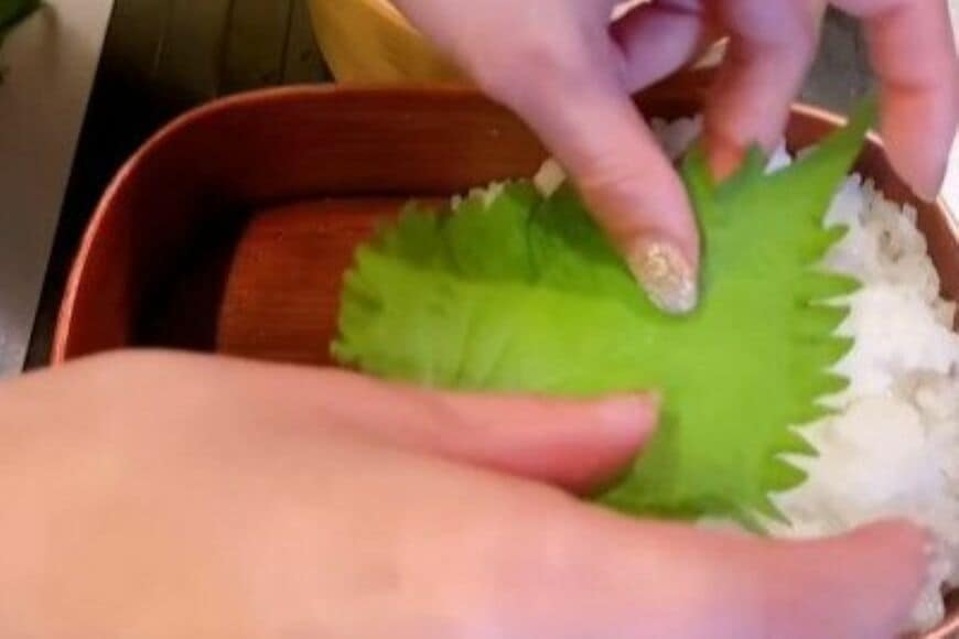 【妻から夫への愛情弁当】鮭の切り身が真ん中にドーン　副菜も品数豊富で美味しそうな「鮭の照り焼き弁当」が最高